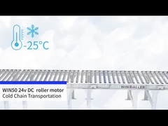 WIN50 DC 24v Моторный привод Ролик холодной цепи транспортировки